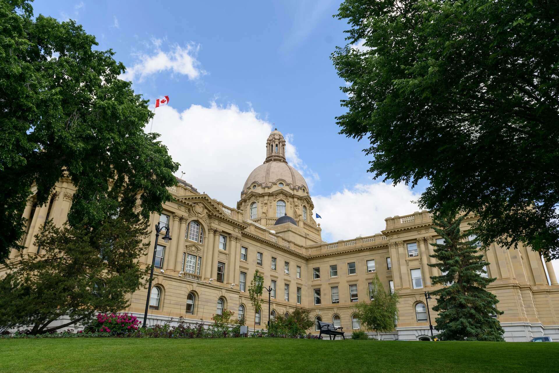 AbLeg Summer2