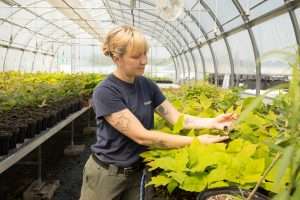 2025 Annual Conference 7 Tree Nursery CCCO